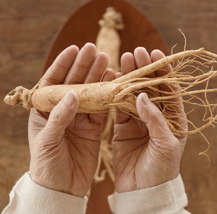 Is Ginseng a Superfood? Here's What You Need to Know!