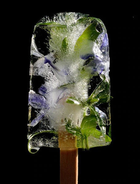 Cool Down with Refreshing, Flavorful, and Healthy Iced Ginseng Tea or Ginseng Infused Water