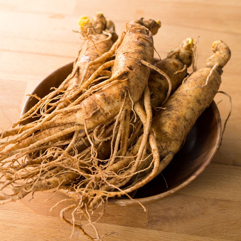 The Incredible Benefits of Korean Ginseng: Unveiling the Power of Panax Ginseng