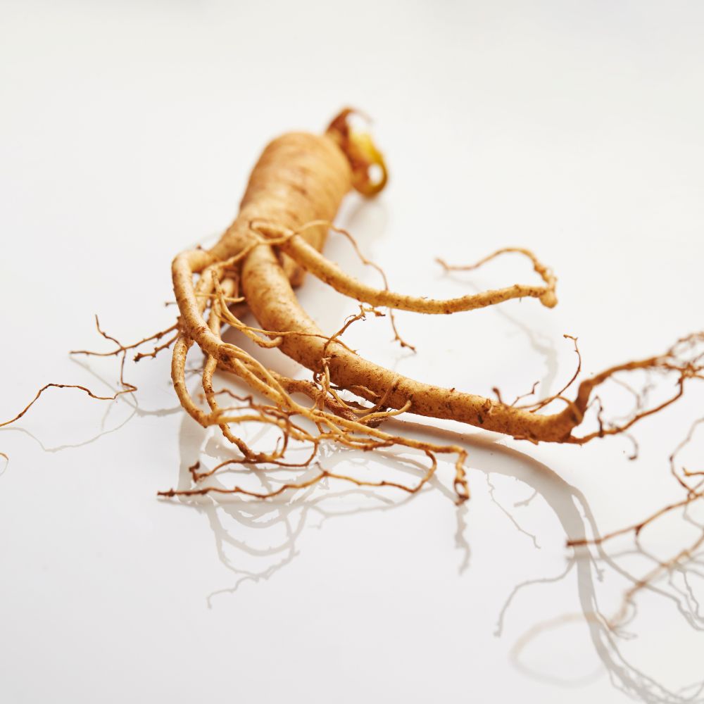 What is Ginseng?