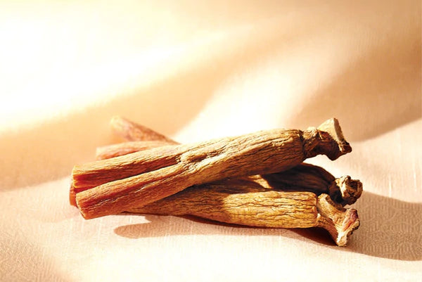 Why CheongKwanJang Red Ginseng is Trusted for Boosting Immunity