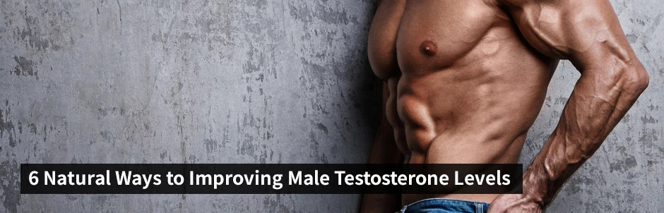 6 Natural Ways to Improving Male Testosterone Levels